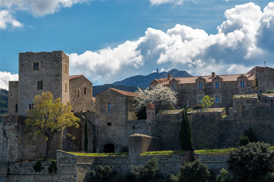 Le chateau royal à Collioure