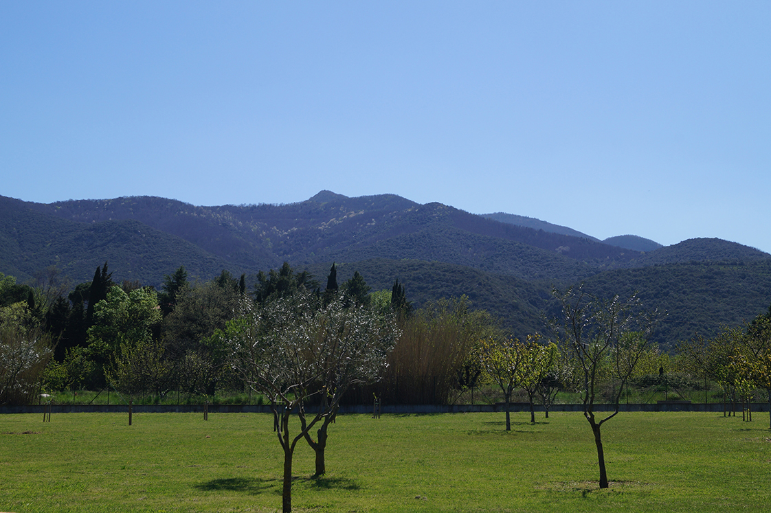 Panoramic view from the terrace of the apartment: 'Les Pyrénées'